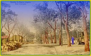 BORELY-LA-SAPIE   Rue Principale
